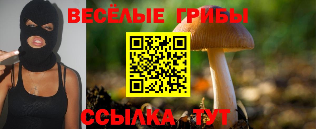 Ипатово  где купить наркотик  Псилоцибиновые грибы GOLDEN TEACHER  Вход с VPN  Псилоцибиновые грибы MAGIC MUSHROOMS 